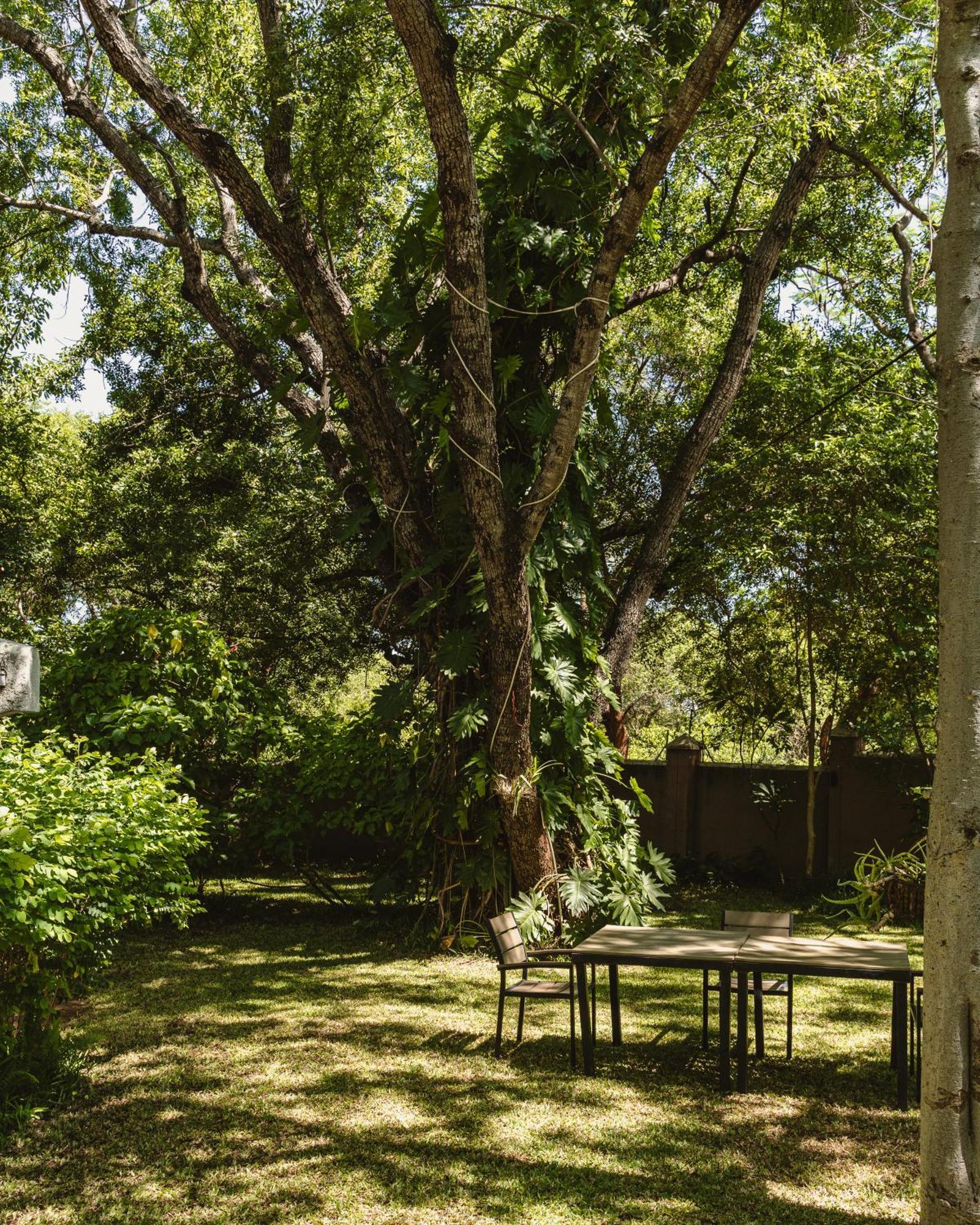 Jacaranda Lodge Victoria Falls Exteriér fotografie