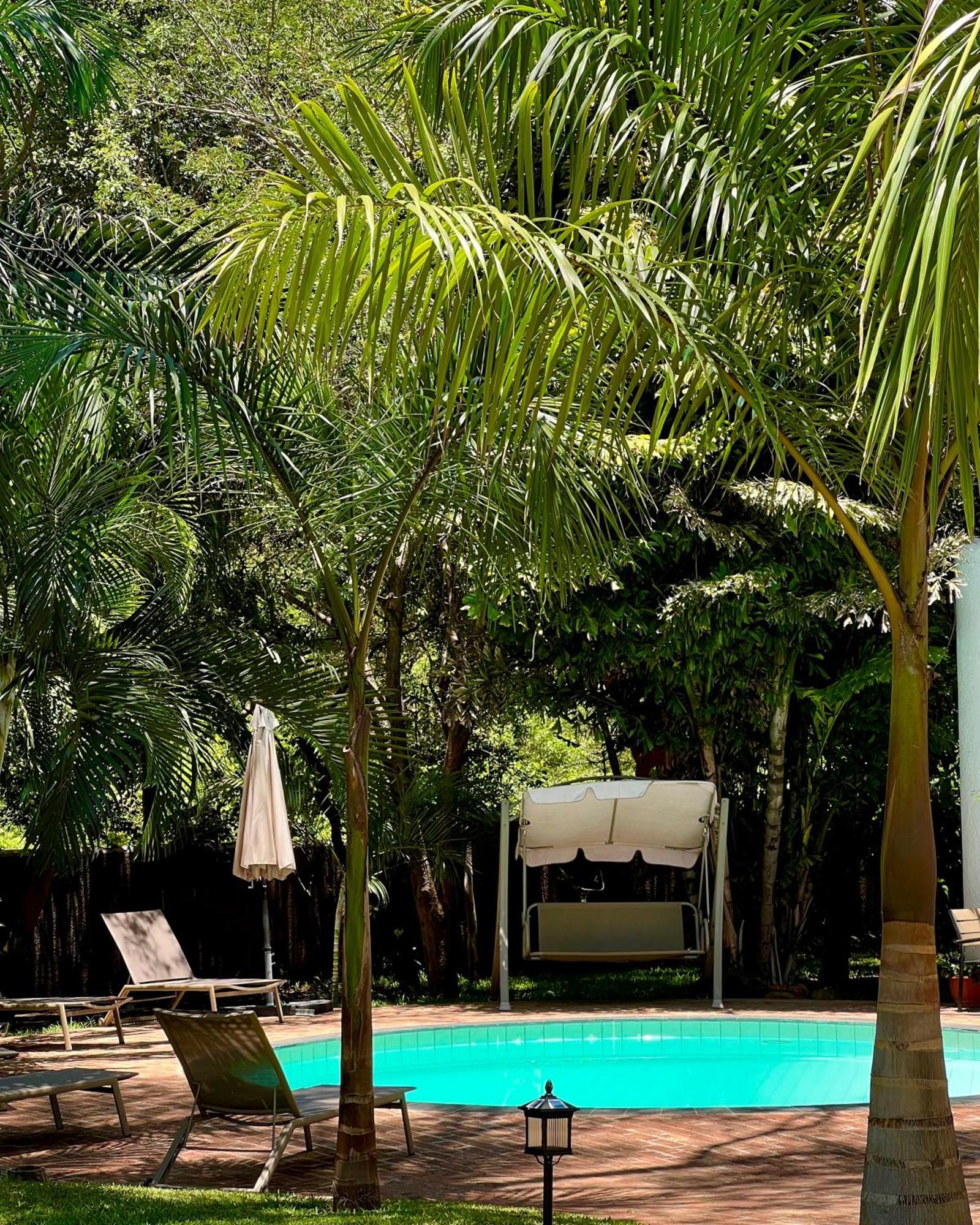 Jacaranda Lodge Victoria Falls Exteriér fotografie